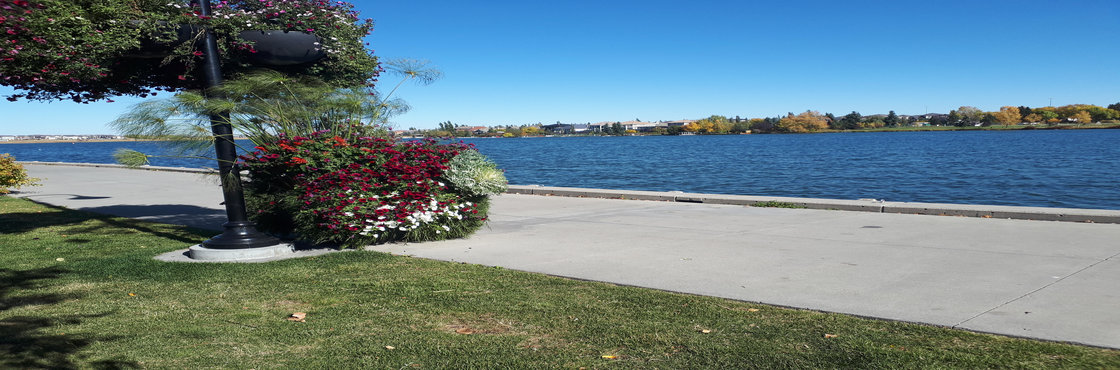 Chestermere Lake Walkway